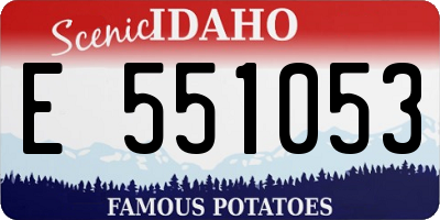 ID license plate E551053