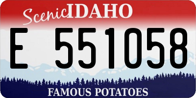 ID license plate E551058