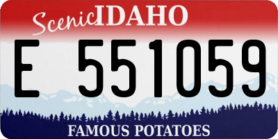 ID license plate E551059