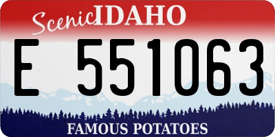 ID license plate E551063