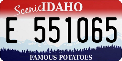 ID license plate E551065