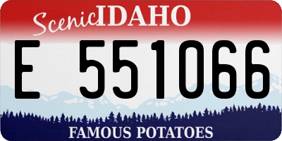 ID license plate E551066