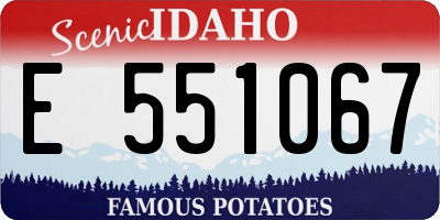 ID license plate E551067