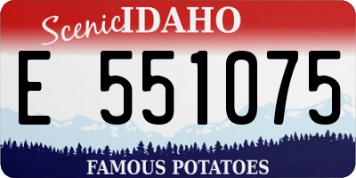 ID license plate E551075