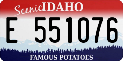 ID license plate E551076