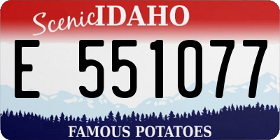 ID license plate E551077