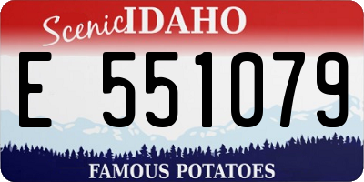 ID license plate E551079