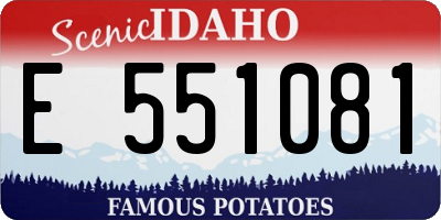 ID license plate E551081
