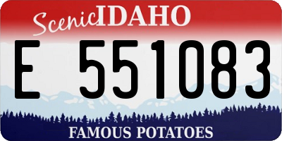 ID license plate E551083