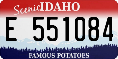 ID license plate E551084