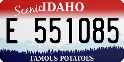 ID license plate E551085