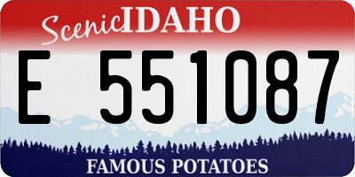ID license plate E551087