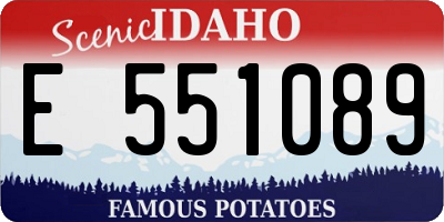 ID license plate E551089