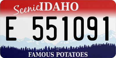 ID license plate E551091