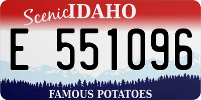 ID license plate E551096