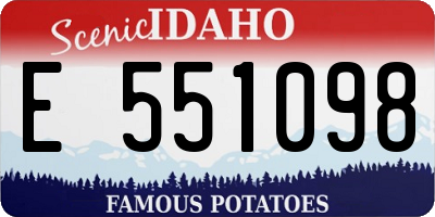 ID license plate E551098