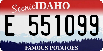 ID license plate E551099