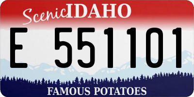 ID license plate E551101