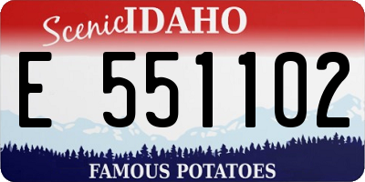 ID license plate E551102