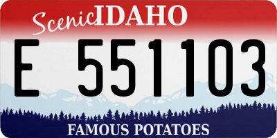 ID license plate E551103