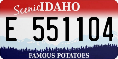 ID license plate E551104