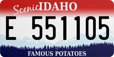 ID license plate E551105