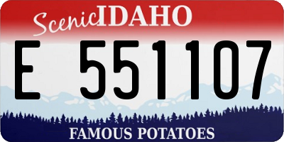 ID license plate E551107