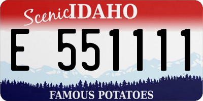ID license plate E551111