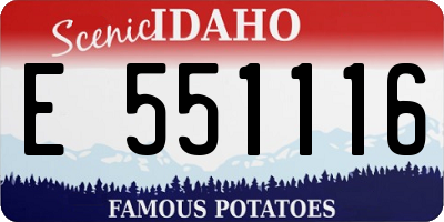 ID license plate E551116