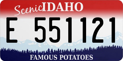 ID license plate E551121
