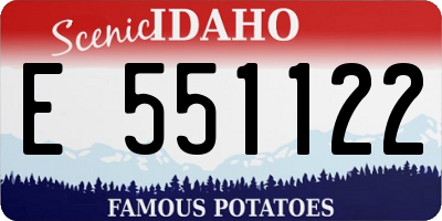 ID license plate E551122