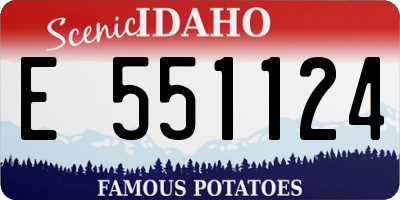 ID license plate E551124