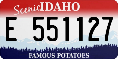 ID license plate E551127