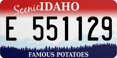 ID license plate E551129