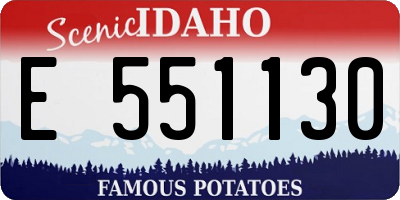 ID license plate E551130