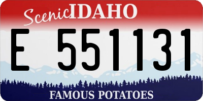 ID license plate E551131