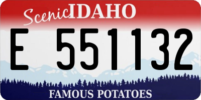 ID license plate E551132