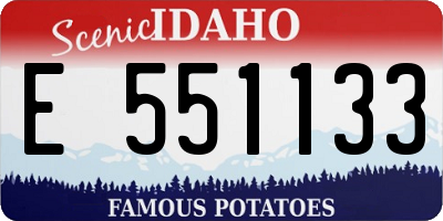 ID license plate E551133