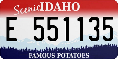 ID license plate E551135
