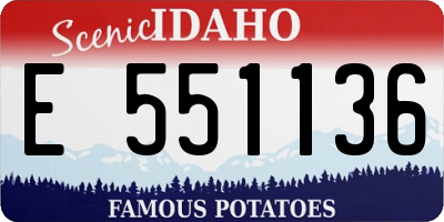 ID license plate E551136