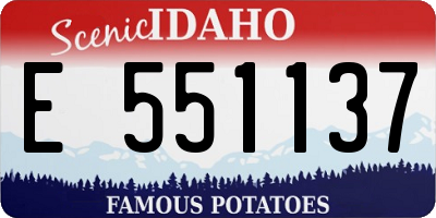 ID license plate E551137