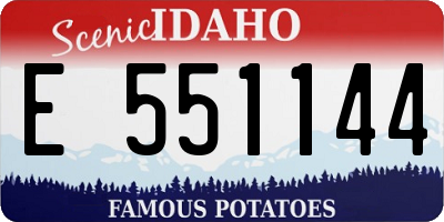 ID license plate E551144