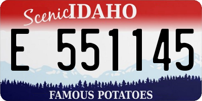 ID license plate E551145