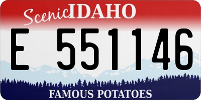 ID license plate E551146