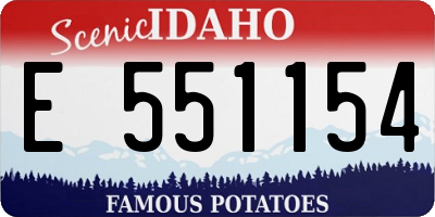 ID license plate E551154