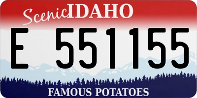 ID license plate E551155