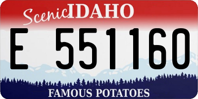 ID license plate E551160