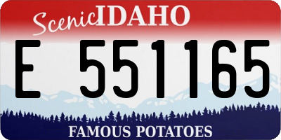ID license plate E551165