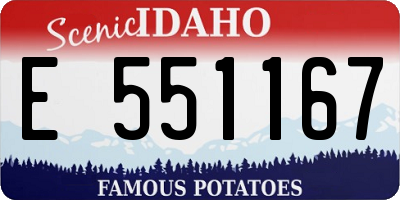 ID license plate E551167