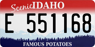 ID license plate E551168